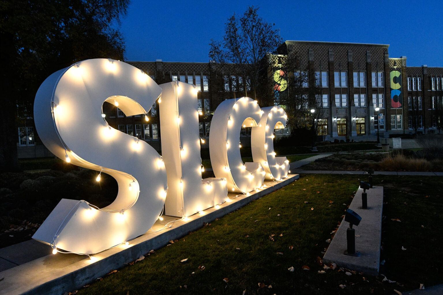 Institution Background